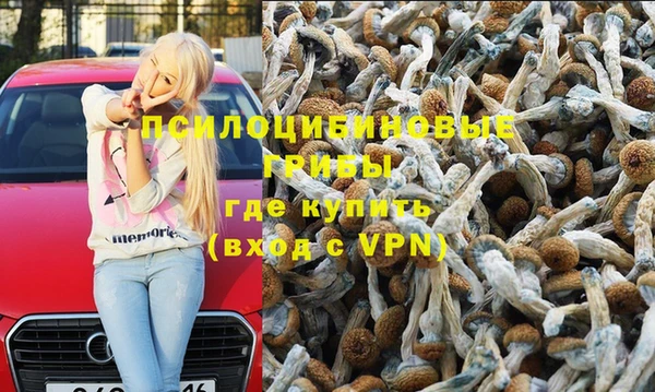 мяу мяу мука Алексин