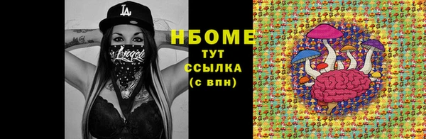 индика Алзамай