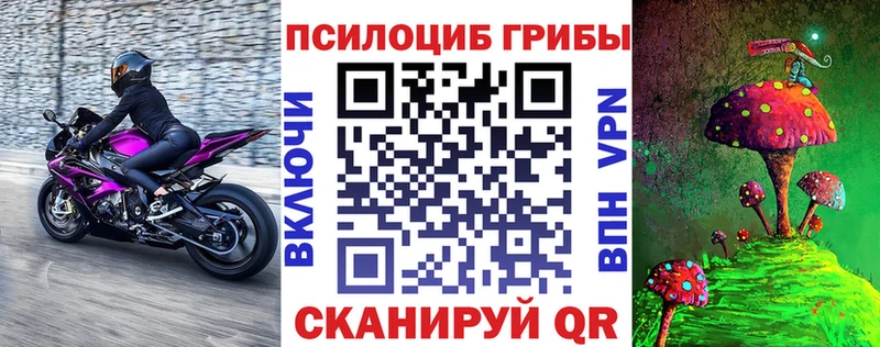 купить   Кумертау  Галлюциногенные грибы GOLDEN TEACHER 